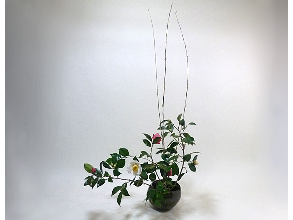 2019年1月21日月曜日、福島県郡山市・菅野草苑（かんのそうえん）教室で学ぶ石本草佳さんの作品