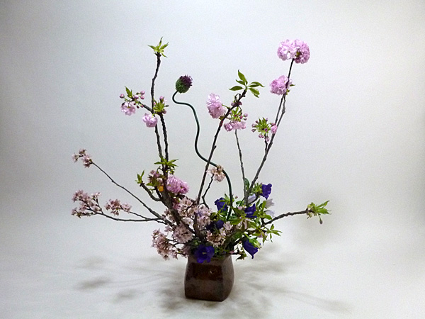 2020年4月24日金曜日、福島県郡山市・菅野草苑（かんのそうえん）さんの作品