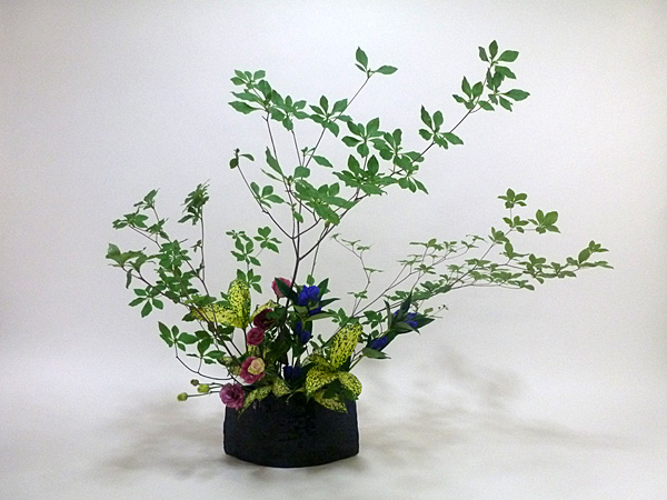 2020年8月20日木曜日、福島県・遠山ハツ子さんの作品