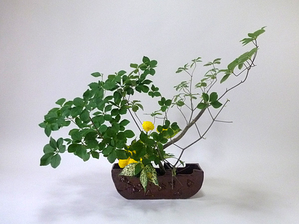 2020年8月14日金曜日、福島県郡山市・菅野草苑（かんのそうえん）さんの作品