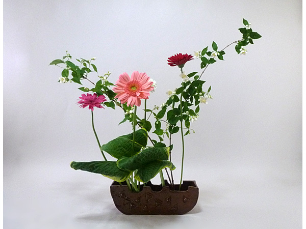 2020年6月5日金曜日、福島県郡山市・菅野草苑（かんのそうえん）さんの作品