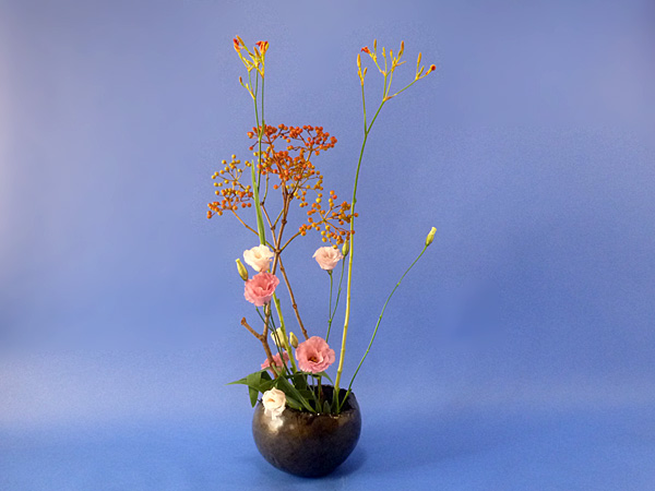 2021年8月13日金曜日、福島県郡山市・菅野草苑（かんのそうえん）さんの作品
