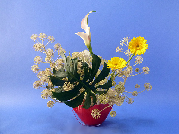 2021年12月17日金曜日、福島県郡山市・菅野草苑（かんのそうえん）さんの作品