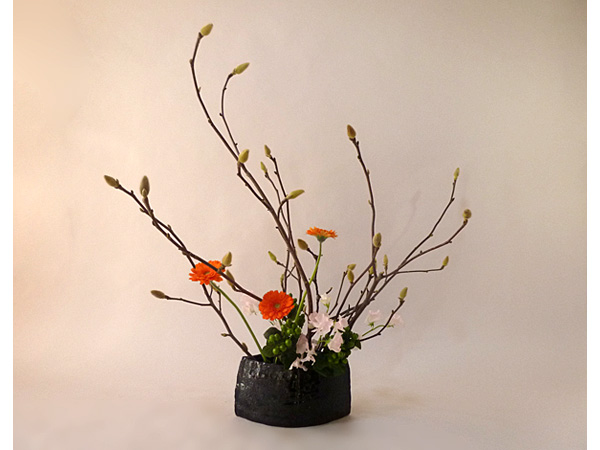 2021年2月12日金曜日、福島県郡山市・菅野草苑（かんのそうえん）さんの作品