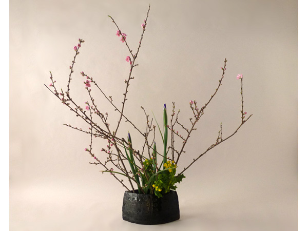 2021年3月3日水曜日、福島県郡山市・菅野草苑（かんのそうえん）さんの作品