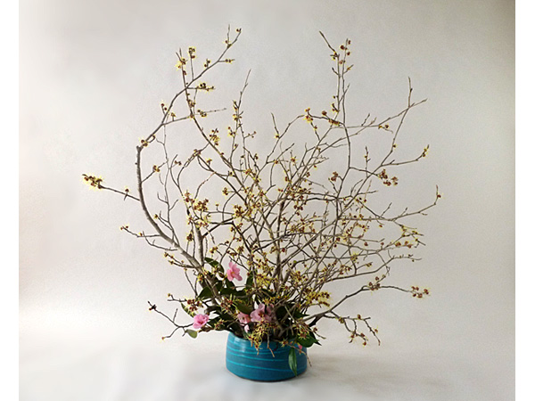 2021年3月26日金曜日、福島県郡山市・菅野草苑（かんのそうえん）さんの作品
