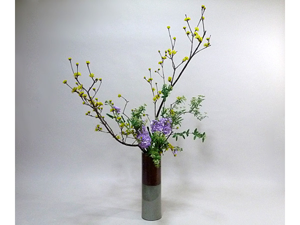 2021年3月4日木曜日、福島県・石本草佳さんの作品