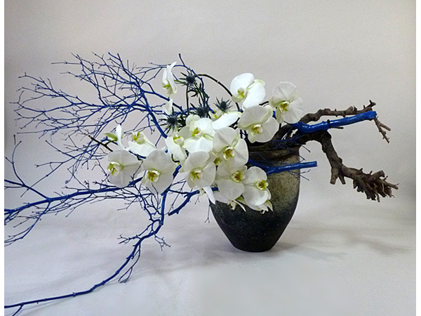 2021年5月13日木曜日、福島県・國分めぐみさんの作品
