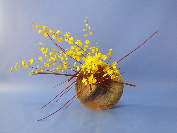 2021年11月3日水曜日、福島県・秋元かなえさんの作品