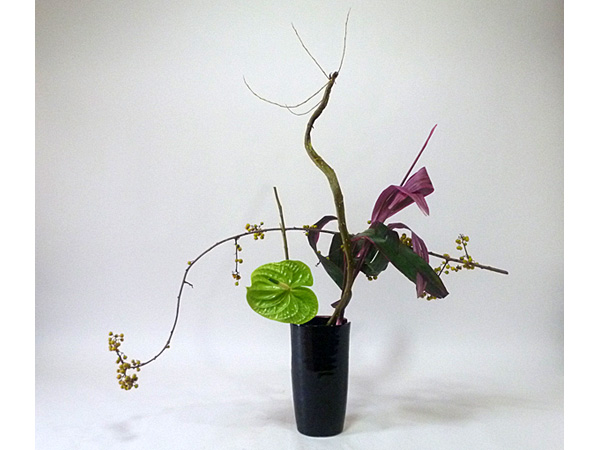 2021年11月24日水曜日、福島県・秋元かなえさんの作品