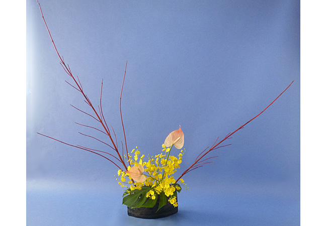 2021年11月4日木曜日、福島県・國分めぐみさんの作品