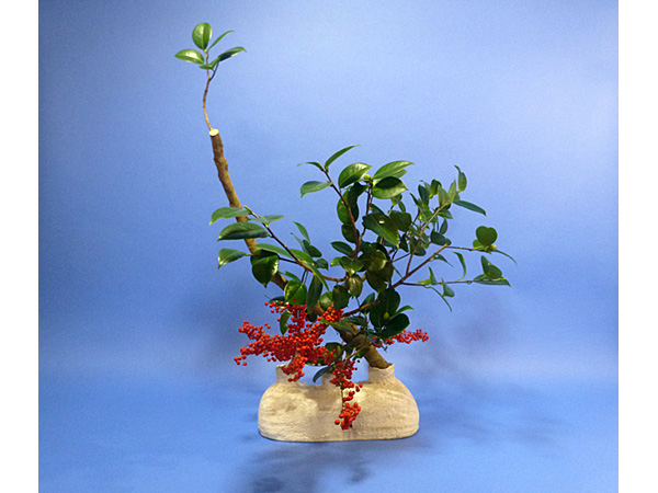 2021年11月17日水曜日、福島県・円谷尤草さんの作品