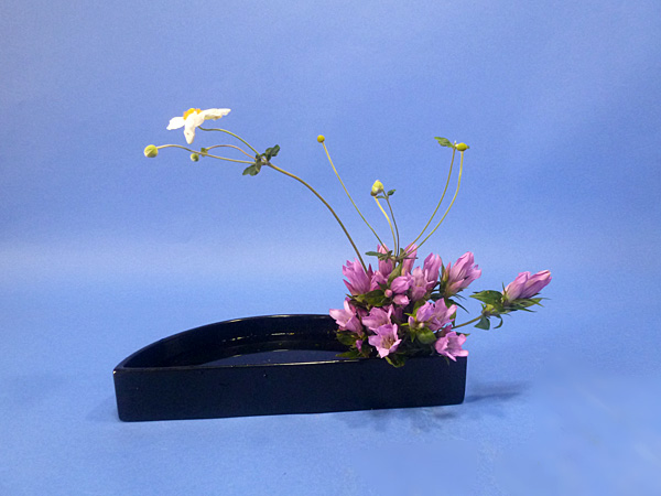 2021年10月5日火曜日、福島県・秋元かなえさんの作品