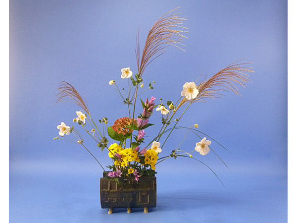 2021年10月6日水曜日、福島県・沼田幸子さんの作品