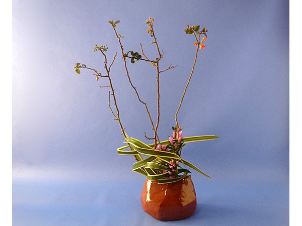 2021年10月29日金曜日、福島県郡山市・菅野草苑（かんのそうえん）さんの作品