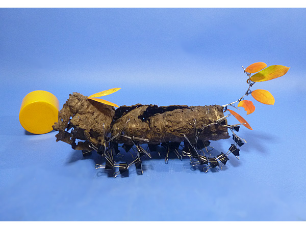 2021年10月25日月曜日、福島県・円谷尤草さんの作品