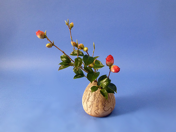 2022年4月27日水曜日、福島県・秋元かなえさんの作品