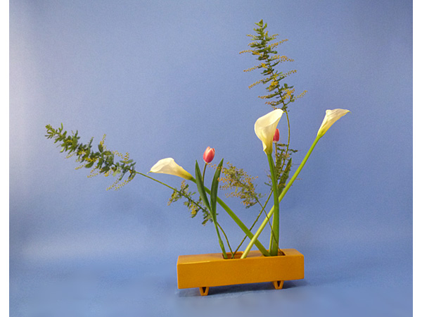 2022年4月18日月曜日、福島県・國分めぐみさんの作品