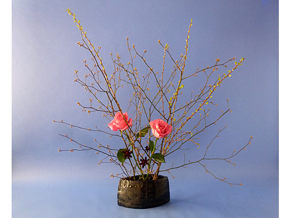 2022年4月1日金曜日、福島県郡山市・菅野草苑（かんのそうえん）さんの作品