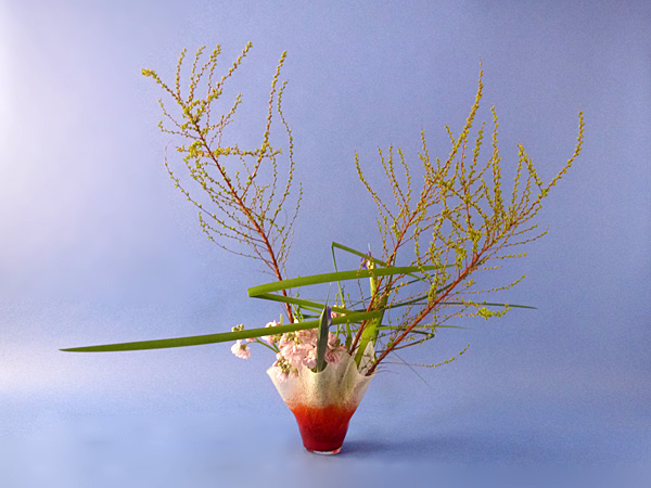 2022年4月8日金曜日、福島県郡山市・菅野草苑（かんのそうえん）さんの作品