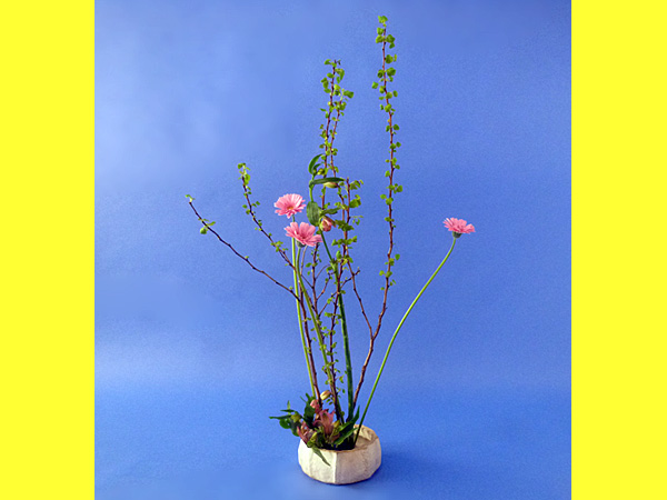 2022年4月15日金曜日、福島県郡山市・菅野草苑（かんのそうえん）さんの作品