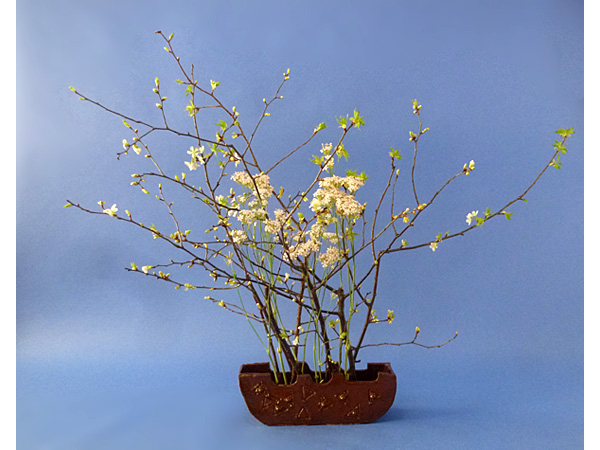 2022年4月22日金曜日、福島県郡山市・菅野草苑（かんのそうえん）さんの作品