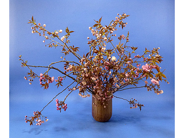 2022年4月29日金曜日、福島県郡山市・菅野草苑（かんのそうえん）さんの作品