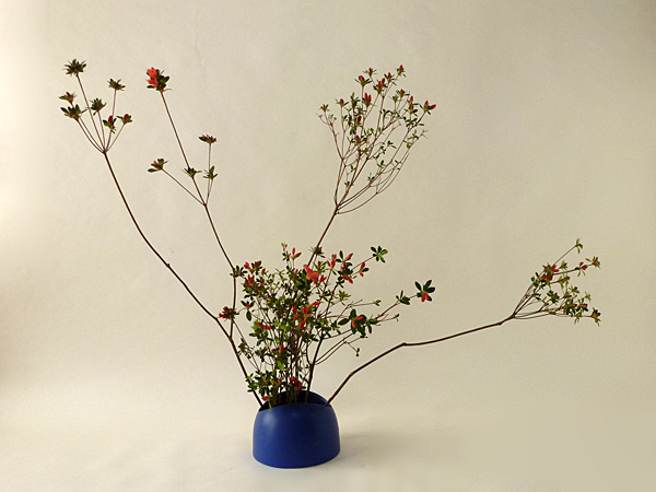 2022年4月21日木曜日、福島県・紀乃知佳さんの作品