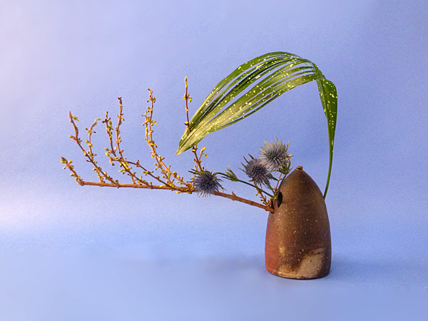 2022年2月8日火曜日、福島県・秋元かなえさんの作品