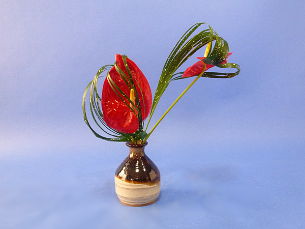 2022年2月16日水曜日、福島県・秋元かなえさんの作品