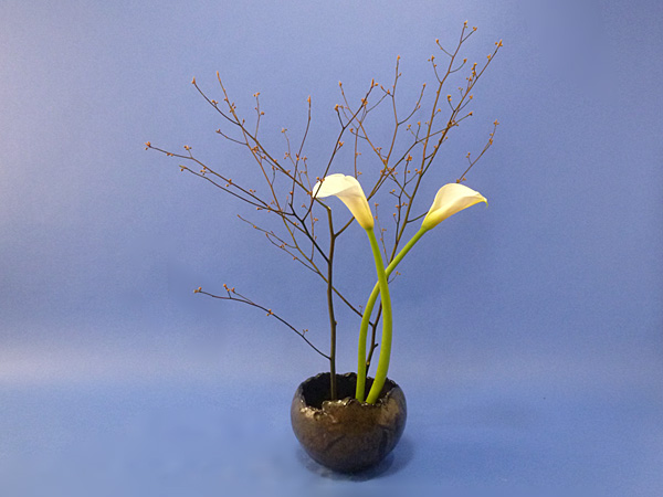 2022年2月21日月曜日、福島県・秋元かなえさんの作品