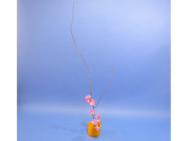 2022年2月1日火曜日、福島県・沼田幸子さんの作品