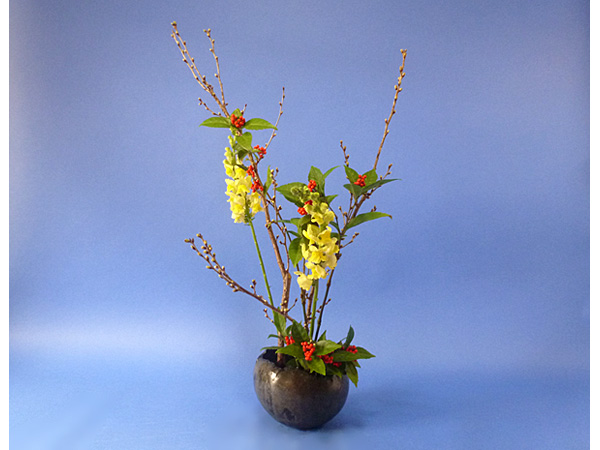 2022年2月4日金曜日、福島県郡山市・菅野草苑（かんのそうえん）さんの作品