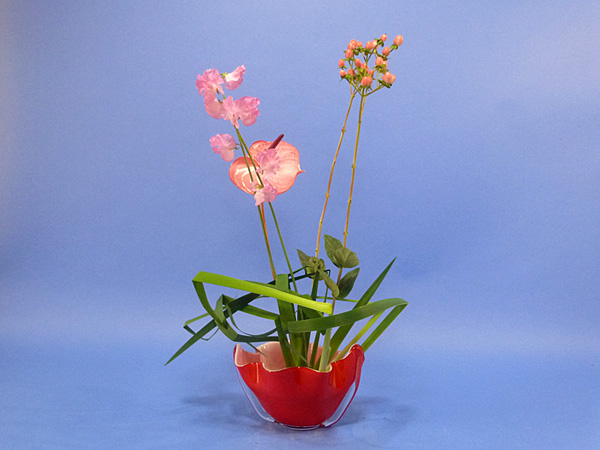 2022年2月11日金曜日、福島県郡山市・菅野草苑（かんのそうえん）さんの作品