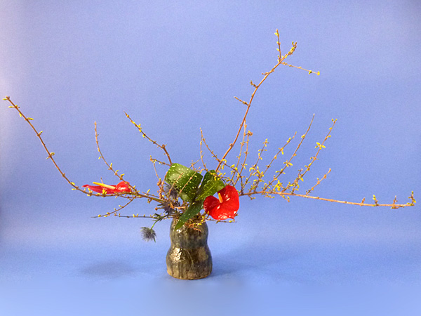 2022年2月18日金曜日、福島県郡山市・菅野草苑（かんのそうえん）さんの作品