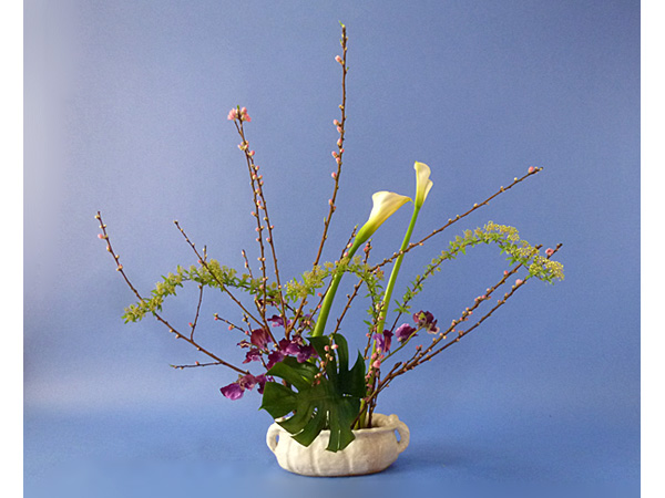 2022年2月25日金曜日、福島県郡山市・菅野草苑（かんのそうえん）さんの作品