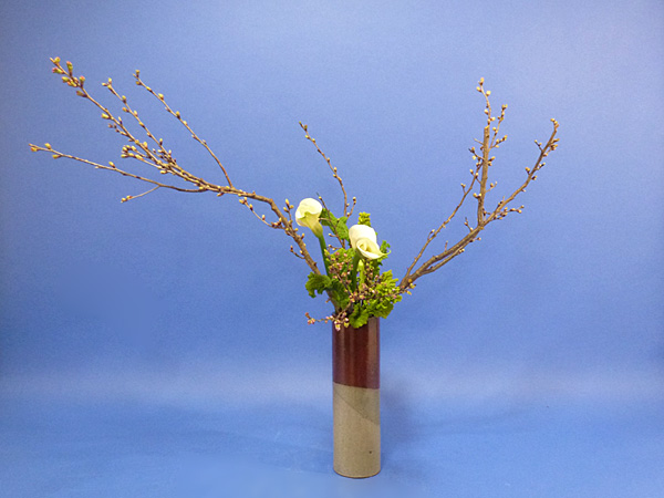 2022年2月21日月曜日、福島県・石本草佳さんの作品