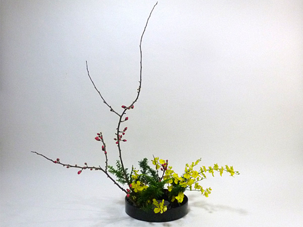 2022年1月13日木曜日、福島県・國分めぐみさんの作品