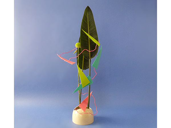 2022年1月24日月曜日、福島県・國分めぐみさんの作品