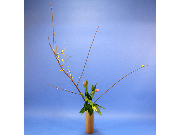 2022年1月11日火曜日、福島県・沼田幸子さんの作品