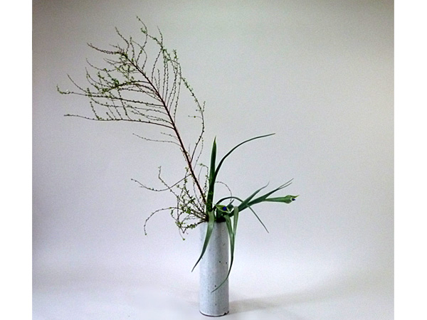 2022年1月25日火曜日、福島県・沼田幸子さんの作品