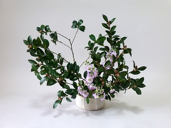 2022年1月14日金曜日、福島県郡山市・菅野草苑（かんのそうえん）さんの作品