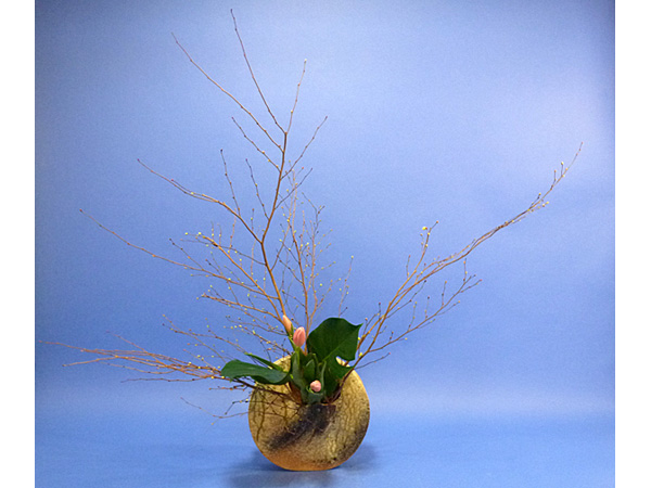 2022年1月26日水曜日、福島県・石本草佳さんの作品