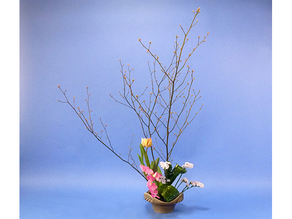 2022年3月3日木曜日、福島県・遠山ハツ子さんの作品