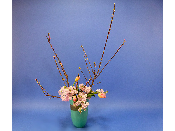 2022年3月9日水曜日、福島県・國分めぐみさんの作品