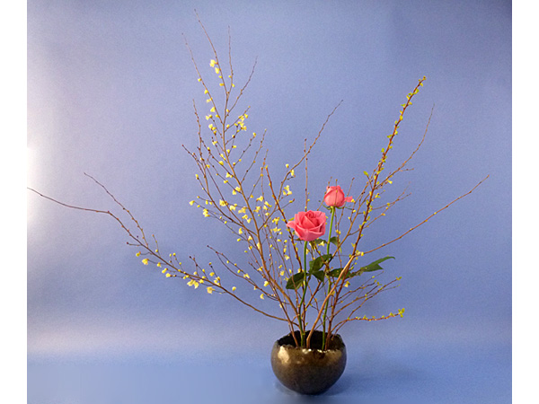 2022年3月16日水曜日、福島県・國分めぐみさんの作品