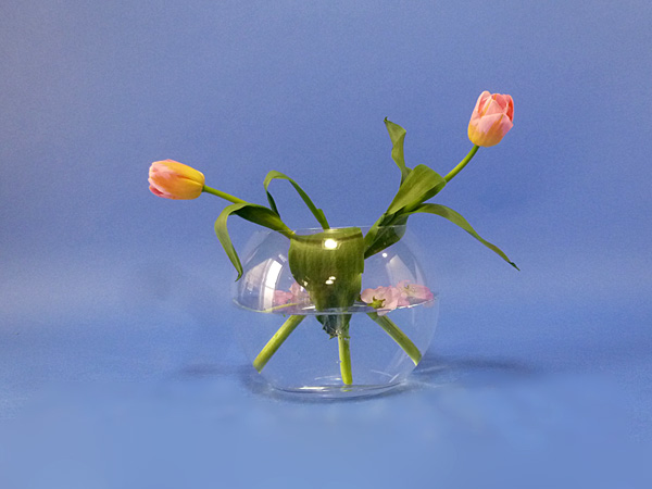 2022年3月17日木曜日、福島県・沼田幸子さんの作品