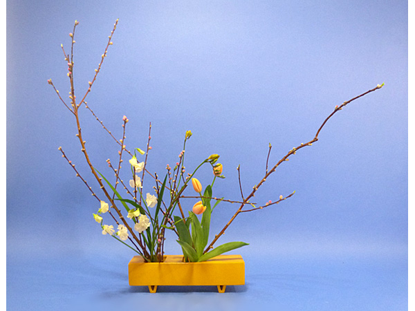 2022年3月2日水曜日、福島県・石本草佳さんの作品