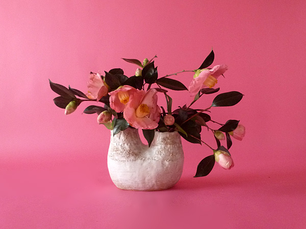 2025年4月18日金曜日、福島県郡山市・菅野草苑（かんのそうえん）さんの作品