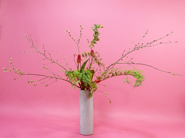 2025年4月7日月曜日、福島県・石本草佳さんの作品